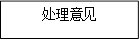 处理意见